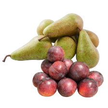Conference peren schaal à 1 kilo
of pruimen verpakt
schaal à 500 gram